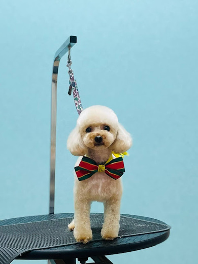 ひらりちゃん♡