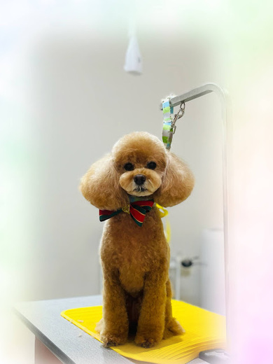 こるくちゃん♡