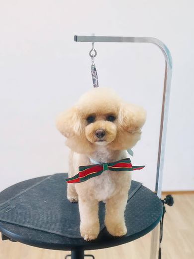 シェリちゃん♡サラちゃん♡