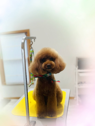 クッキーくん♪るるちゃん♡