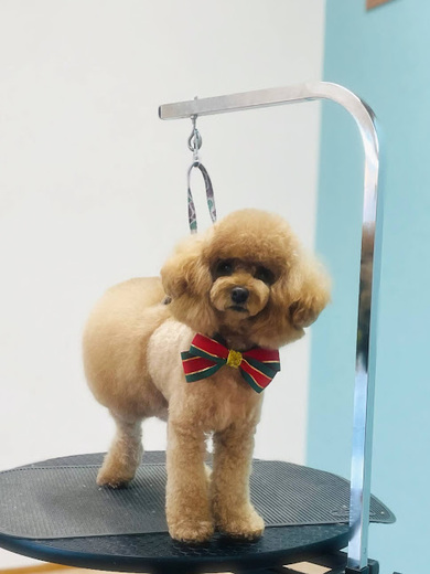 クッキーくん♪るるちゃん♡