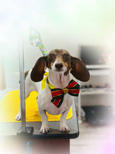 コロンちゃん♡