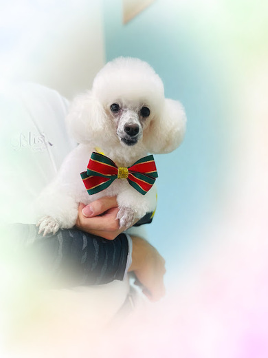 リリーちゃん♡