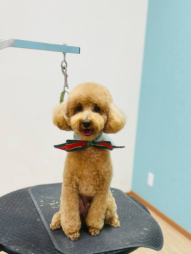 こたろうくん♪