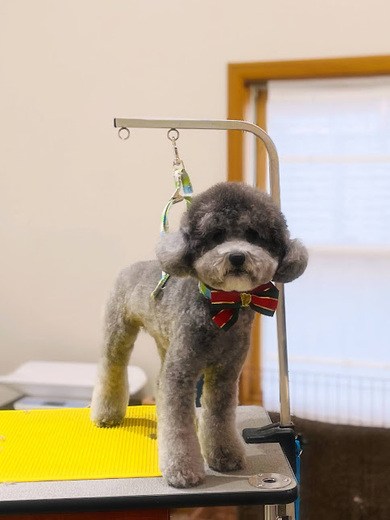 ごえもんくん♪