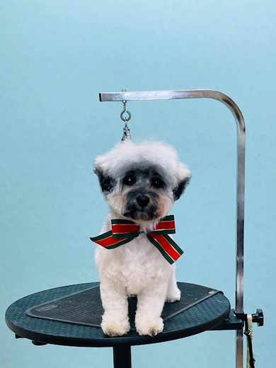 モンチちゃん♡