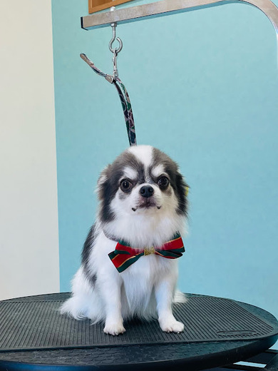 うゆくん♪ビビくん♪