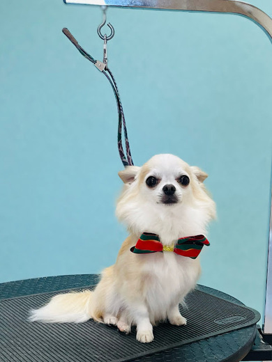 うゆくん♪ビビくん♪