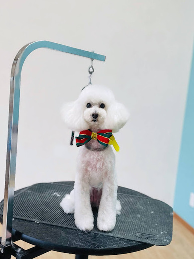 ブランくん♪アリスちゃん♡