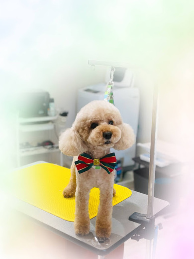 こたろうくん♪