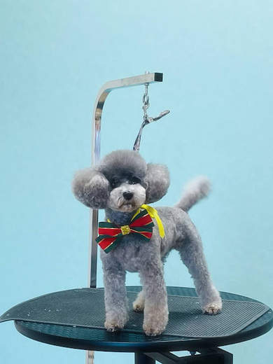 こまりちゃん♡こはるちゃん♡