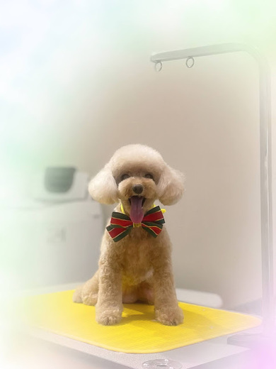 こまりちゃん♡こはるちゃん♡