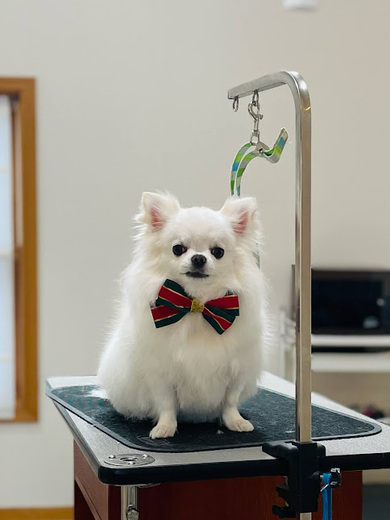 ふくちゃん♡まめくん♪