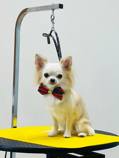 ふくちゃん♡まめくん♪