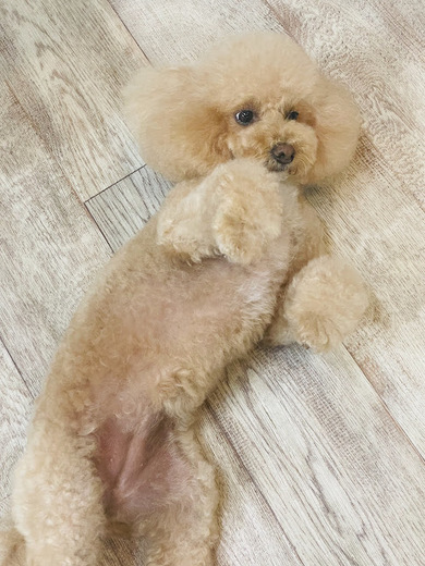 シェリちゃん♡サラちゃん♡