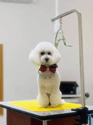 チバリーちゃん♡