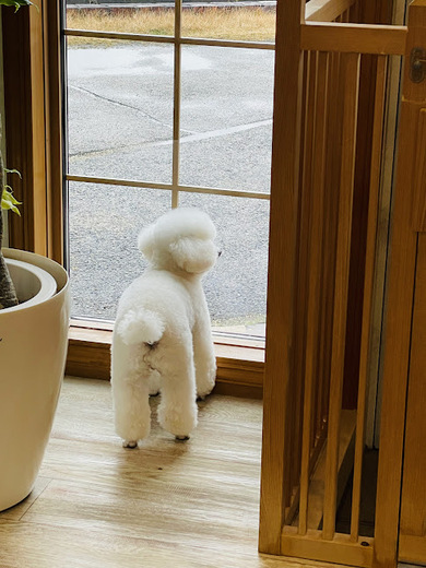 リリーちゃん♡