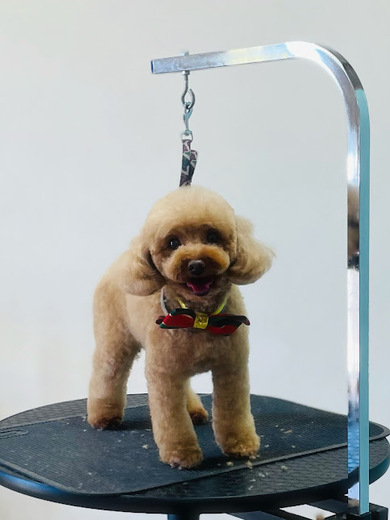 シェリーちゃん♡