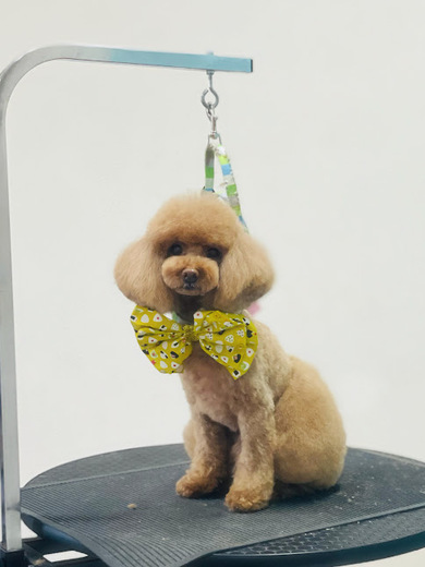 ルルちゃん♡ココちゃん♡