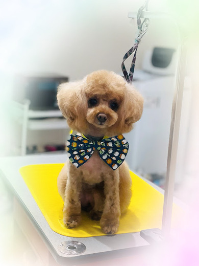 ルルちゃん♡ココちゃん♡