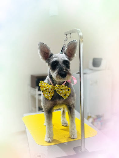 あん子ちゃん♡