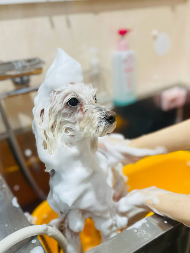 アリスちゃん♡