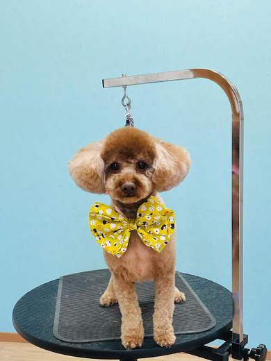 ココくん♪モカくん♪