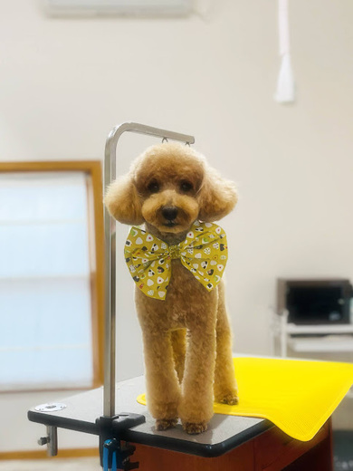 こたろうくん♪