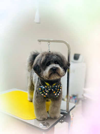 ハクくん♪ジジくん♪