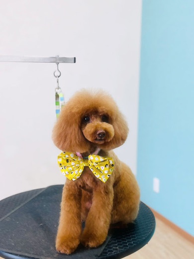 クッキーくん♪るるちゃん♡