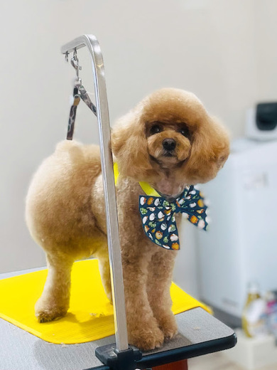 クッキーくん♪るるちゃん♡