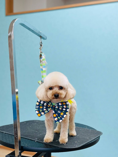 ひらりちゃん♡