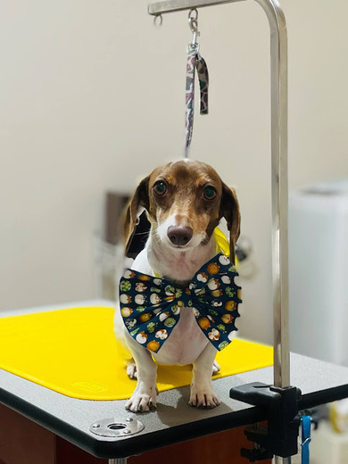 コロンちゃん♡