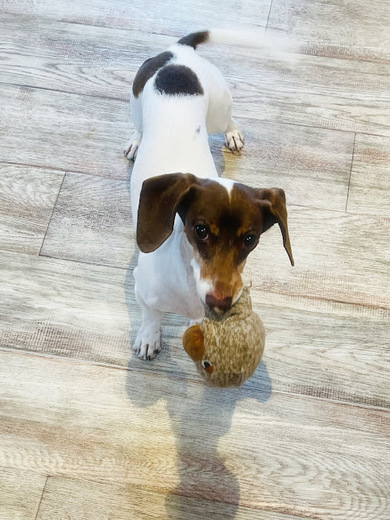 コロンちゃん♡