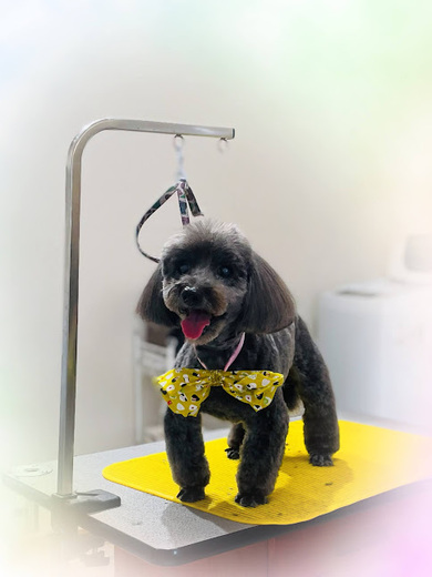 コカくん♪マギ－くん♪