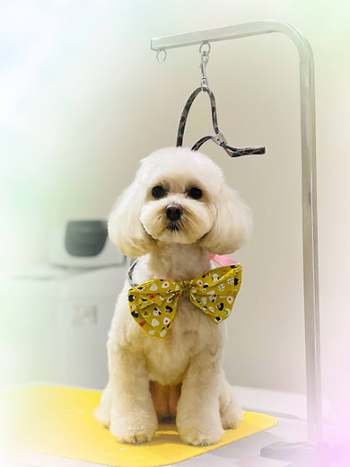 アムールちゃん♡