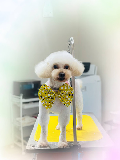 ヒコウくん♪エデンくん♪