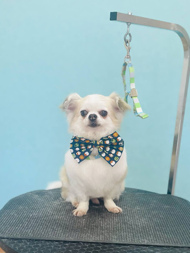 ヒコウくん♪エデンくん♪