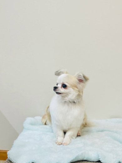 ヒコウくん♪エデンくん♪