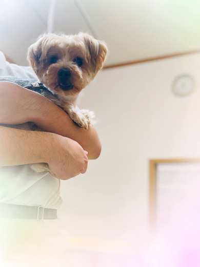 心くん♪ケンくん♪