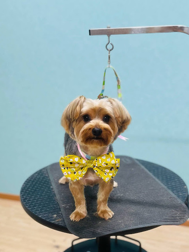 心くん♪ケンくん♪