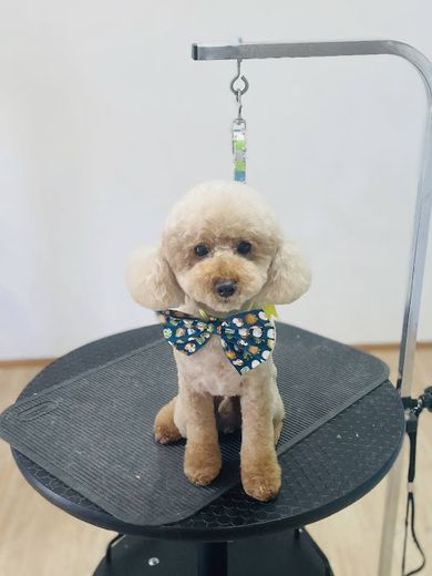 こたろうくん♪