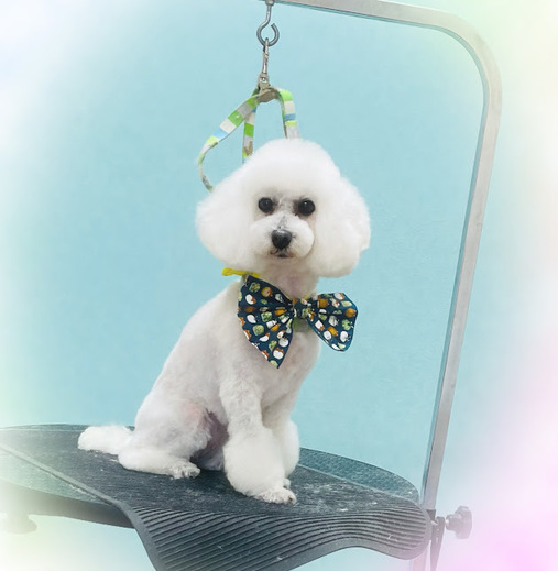 チバリーちゃん♡