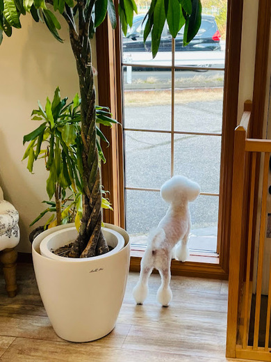 チバリーちゃん♡