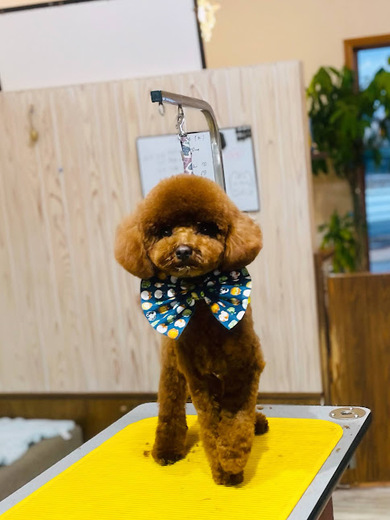 チャッピーくん♪