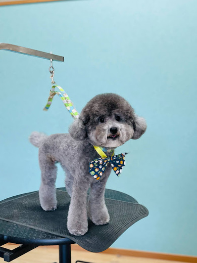 ごえもんくん♪