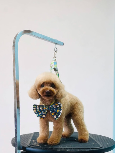 シェリーちゃん♡