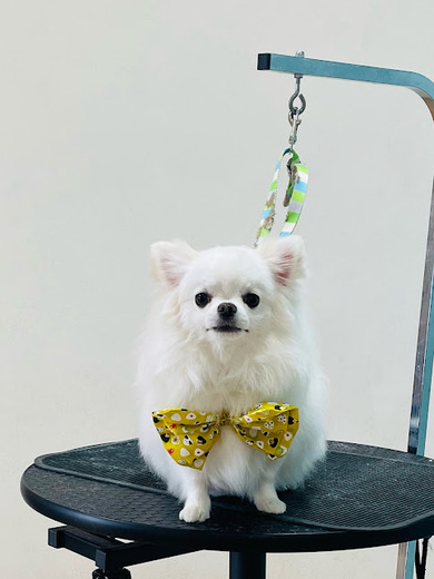 ふくちゃん♡まめくん♪