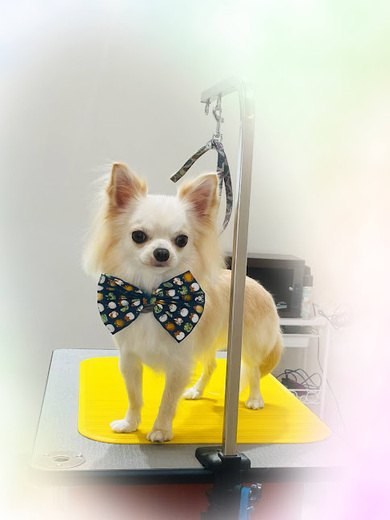 ふくちゃん♡まめくん♪