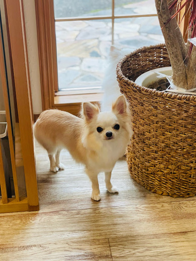 ふくちゃん♡まめくん♪